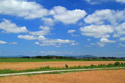 649362 (a): :1920x1280